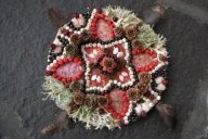 Mandala by Therese Muskus