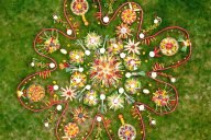 Grow Your Own Mandala Purfleet